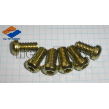 Gr5 titanium motor screw